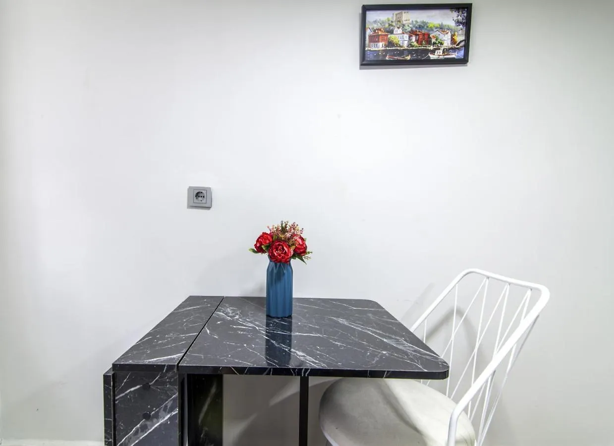 Modern Flat In The Heart Of Beyoglu Lejlighed Istanbul